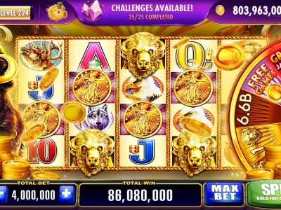 Painel de usuário RoyalBet